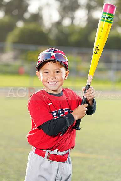 SB_TB_Bats021
