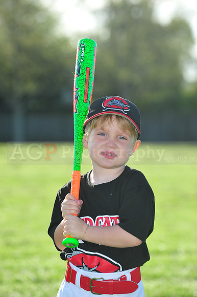TBMudcats018