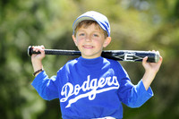 FarmDodgers013