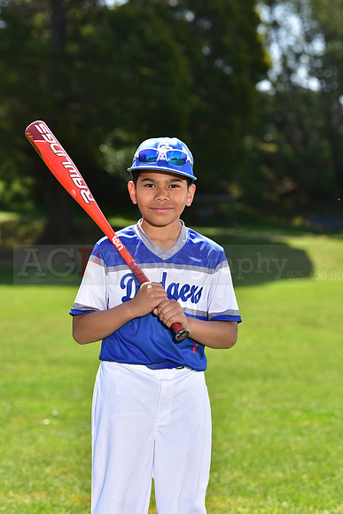 SB_PW_Dodgers010