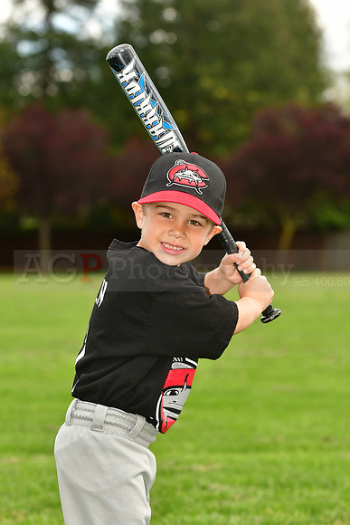 FMMudcats012