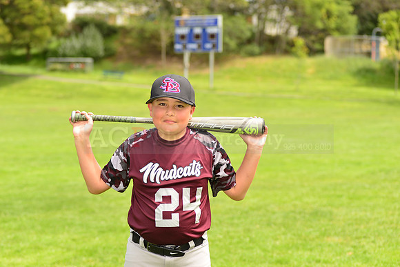 BMudcats00042