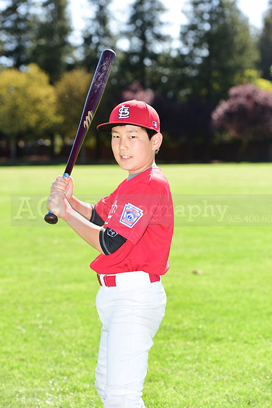 MCardinals0003