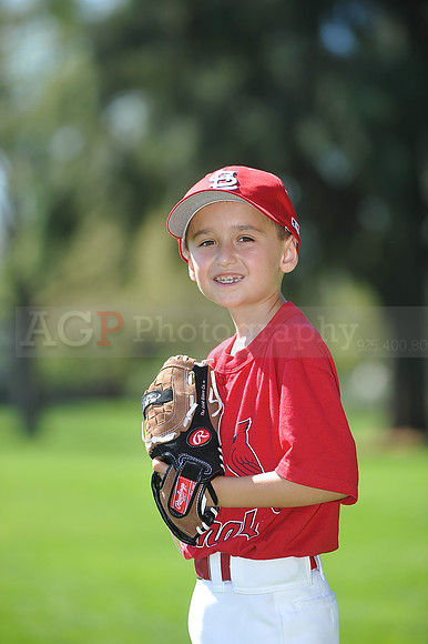 AA_Cardinals080