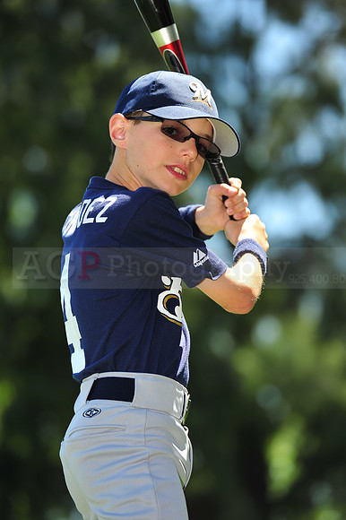 AA Brewers078