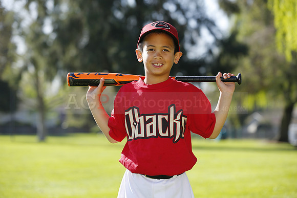 FMDBacks020