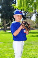 FMCubs019
