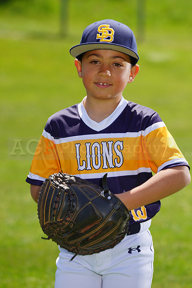 SB_PW_Lions028