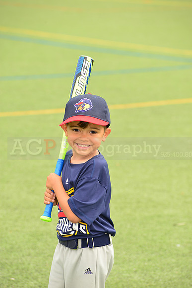 SB_TB_mudhens00058