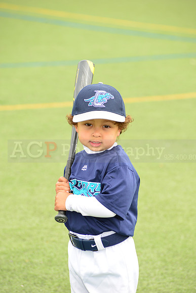 SB_TB_Raptors00192