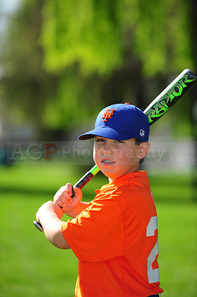 AA METS022