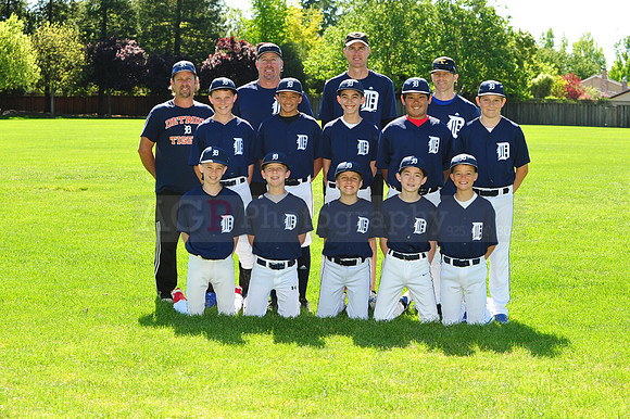 MTigers082