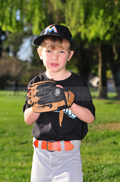 TBMarlins036