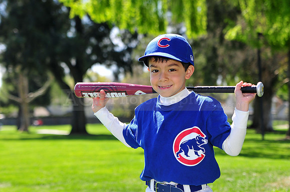 FMCubs029