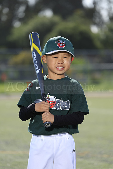 SB_TB_TinCaps046