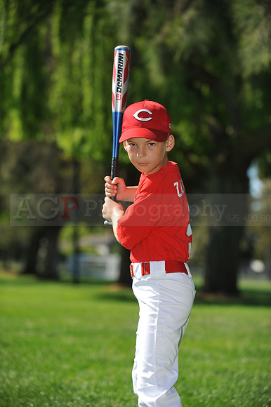 Farm_Reds052
