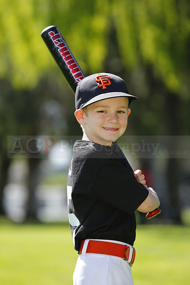 TBGiants028