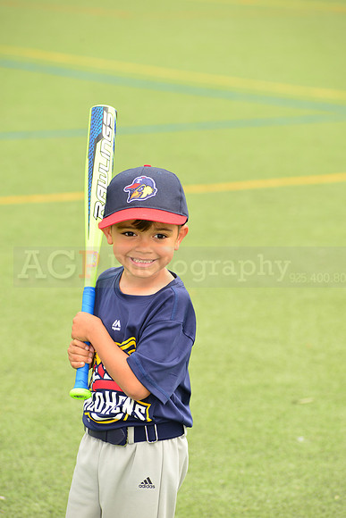 SB_TB_mudhens00059