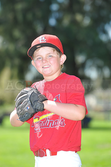 A_Cardinals067