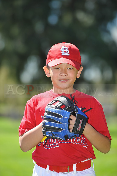A_Cardinals087