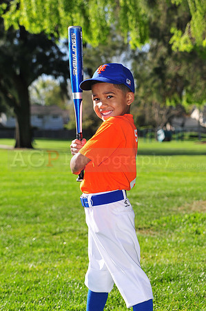 TBMets016