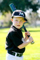 TBMarlins009