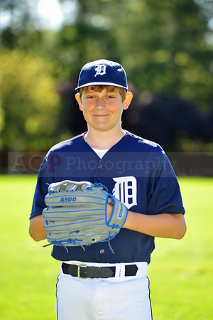 MTigers025