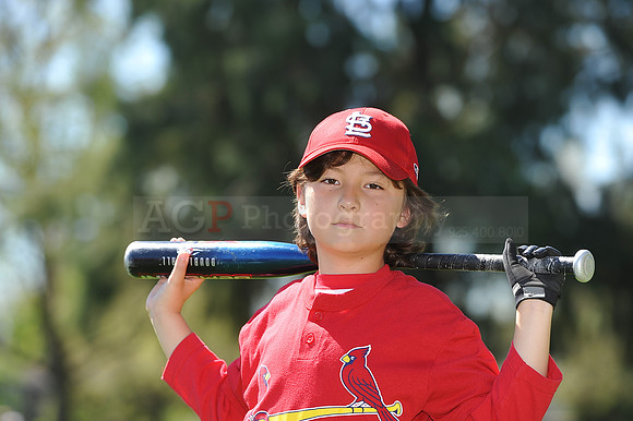 A_Cardinals082