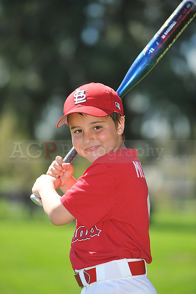 A_Cardinals108