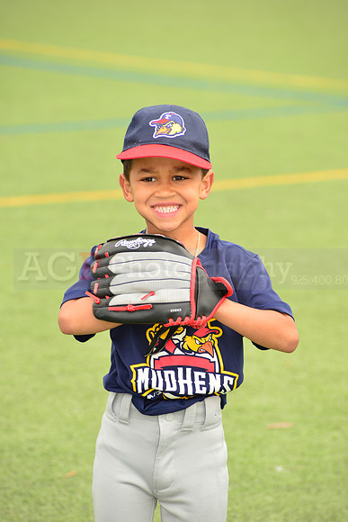 SB_TB_mudhens00013