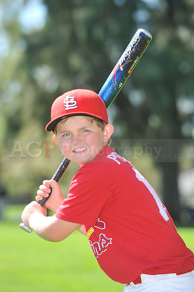 A_Cardinals071