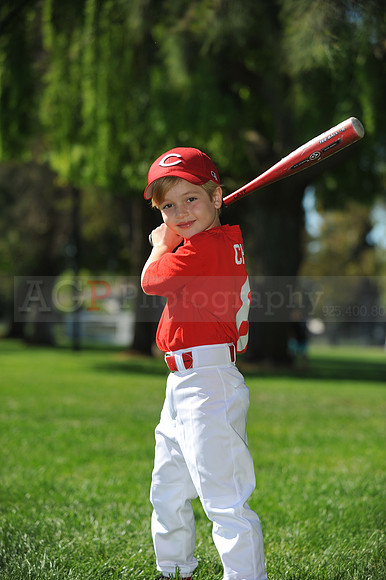Farm_Reds067