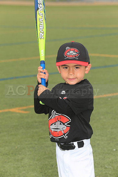 SB_TB_Mudcats00049