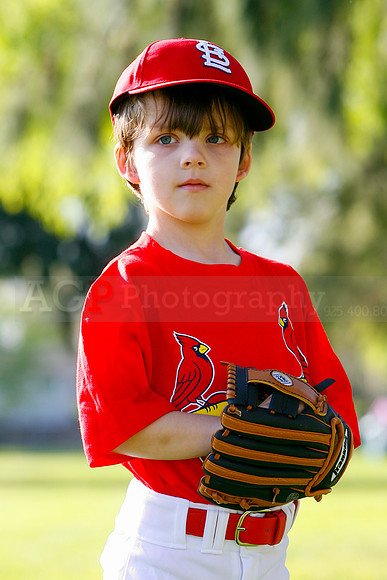 TBCards049