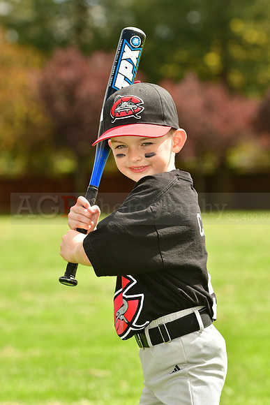 FMMudcats026