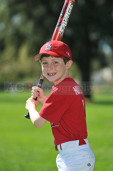 AA_Cardinals036