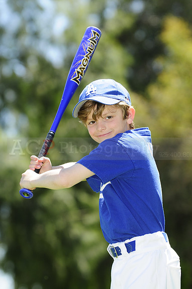 FarmDodgers056