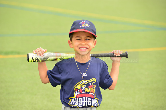 SB_TB_mudhens00020