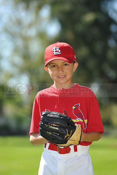 AA_Cardinals025