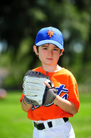 Farm_Mets002