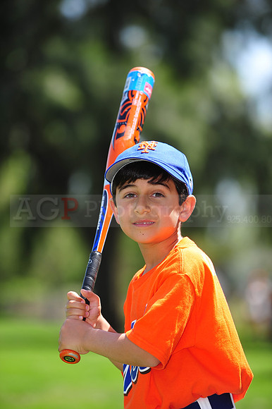 Farm_Mets039