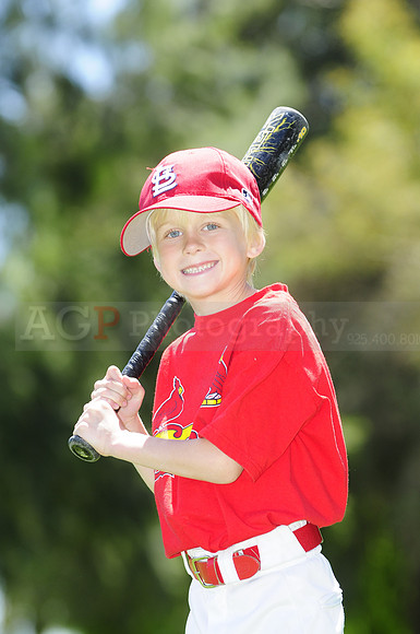 FarmCards037