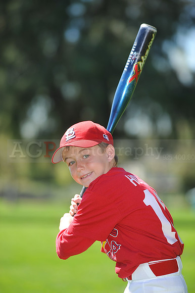 A_Cardinals049
