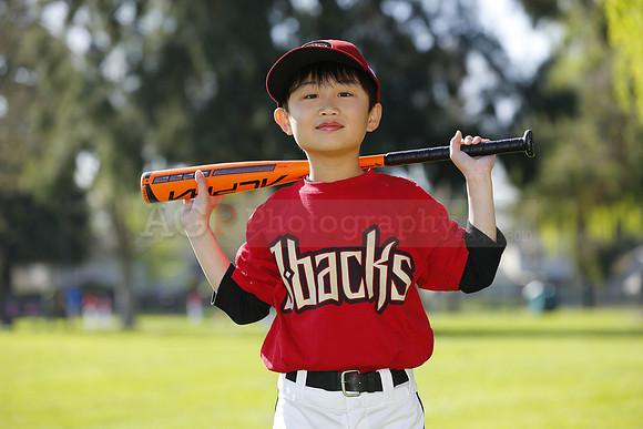FMDBacks069