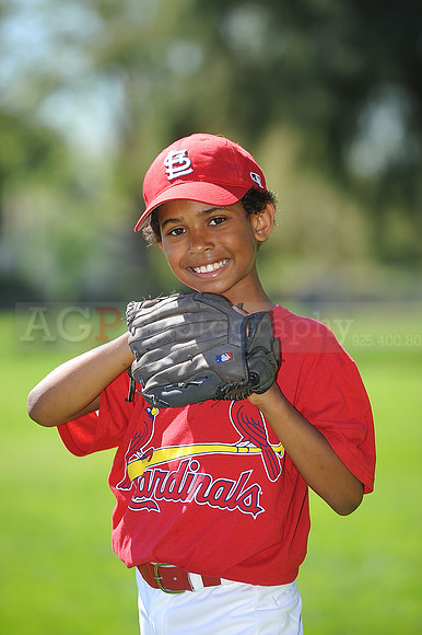A_Cardinals056