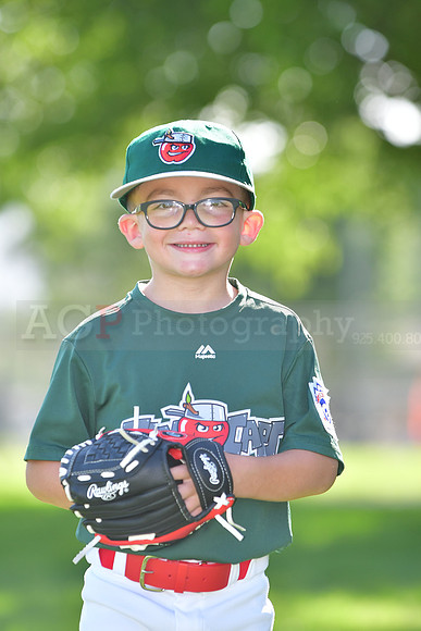 TBTincaps201