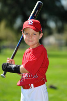 A_Cardinals005