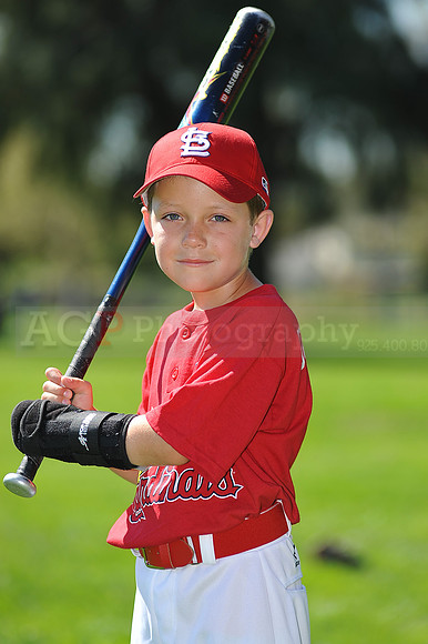 A_Cardinals005