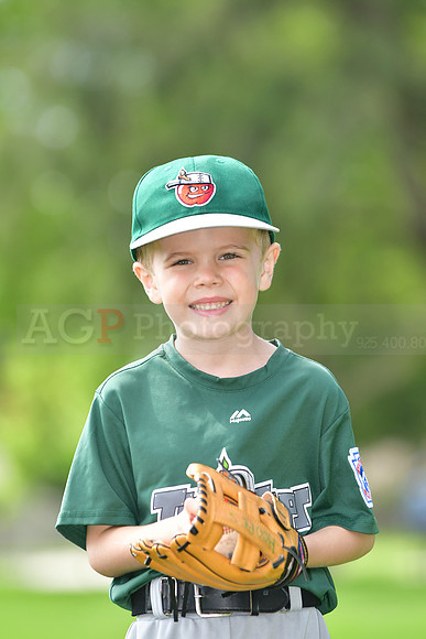 TBTincaps045
