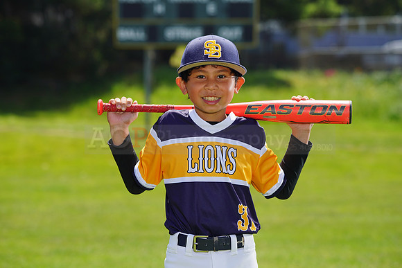 SB_PW_Lions058